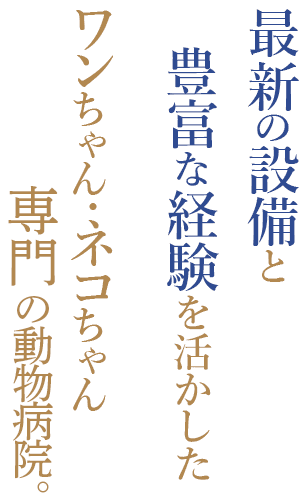最新の設備と豊富な経験を活かしたワンちゃん・ネコちゃん專門の動物病院。